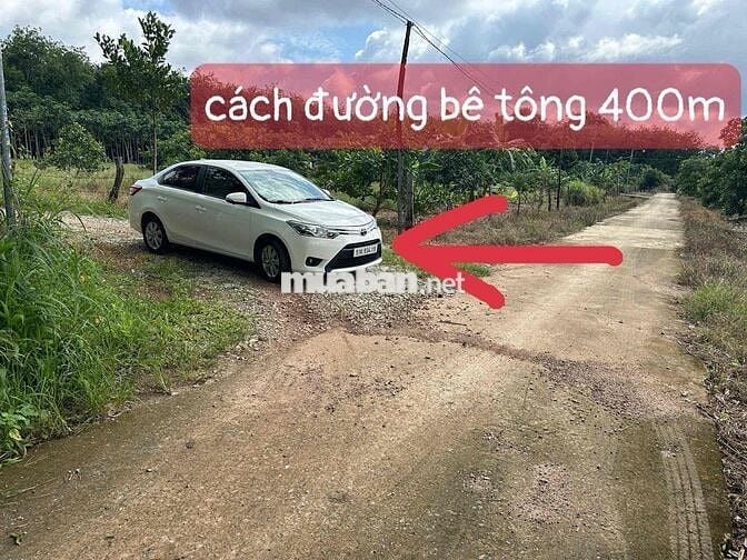 Bán gấp đất thổ cư xã tân quan, hớn quản, giá mềm gần dân