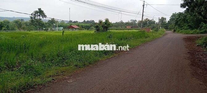 Cần bán đất chính chủ, đất ở nông thôn, có thể lên được thổ cư