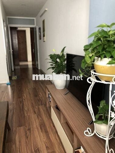 ✨ Chỉ với 3 tỷ, sở hữu ngay căn hộ trung tâm Quận 8 ✨