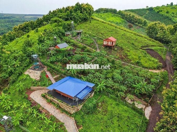 Khám Phá Mảnh Đất Nghỉ Dưỡng Tại Định Quán, Đồng Nai – "Đà Lạt Thứ 2"