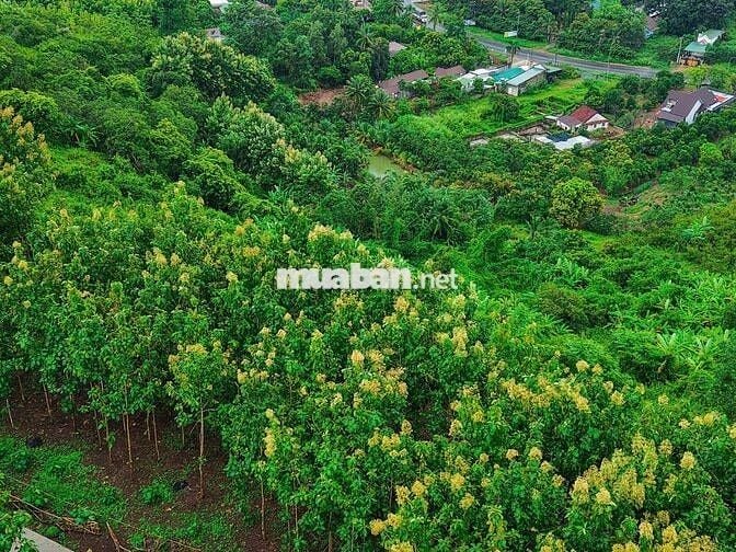 Khám Phá Mảnh Đất Nghỉ Dưỡng Tại Định Quán, Đồng Nai – "Đà Lạt Thứ 2"
