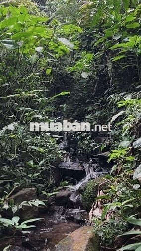 Khám Phá Mảnh Đất Nghỉ Dưỡng Tại Định Quán, Đồng Nai – "Đà Lạt Thứ 2"