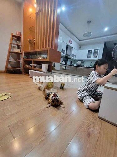 Cho Thuê Nhà MT Tân Hương Tân Phú 4P 5WC