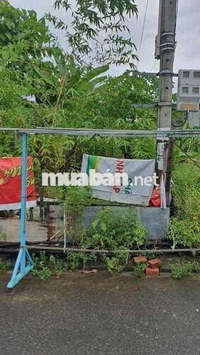 Ngay 8 Tòa Chung Cư , Hòa Hiệp 4