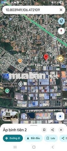 Đất 10 x 35 Mặt tiền đường nhựa Tám Bình, gần chợ Đồn Cây Dương