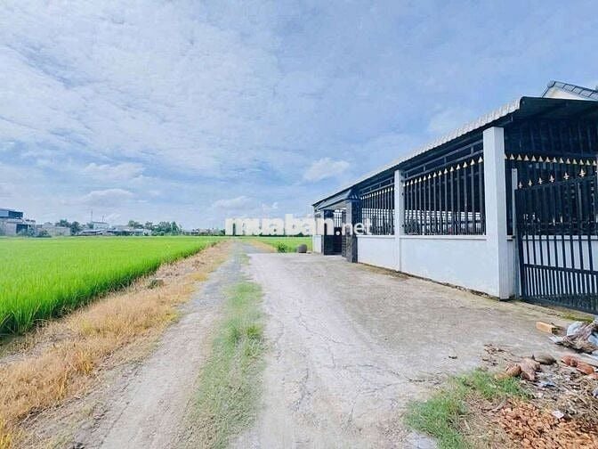 Bán đất Full thổ cư 10 x 29 (290m2) hẻm ôtô gần chợ Đồn Cây Dương