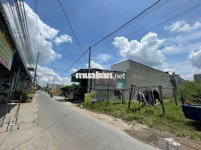 Đất 10 x 35 Mặt tiền đường nhựa Tám Bình, gần chợ Đồn Cây Dương