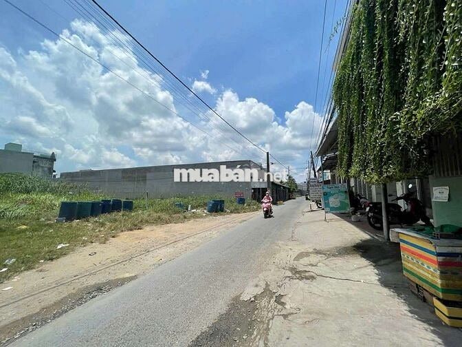 Đất 10 x 35 Mặt tiền đường nhựa Tám Bình, gần chợ Đồn Cây Dương