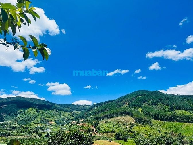 Bán gấp đất Thị trấn Đinh Văn Lâm Hà, Lâm Đông