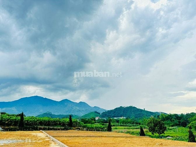 Bán gấp đất Thị trấn Đinh Văn Lâm Hà, Lâm Đông