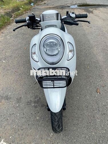 SCOOPY