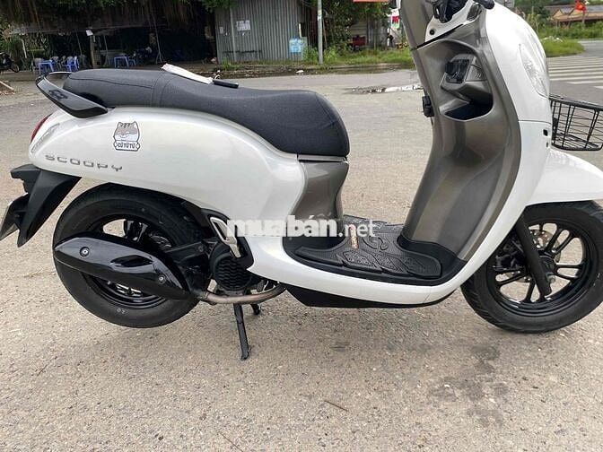 SCOOPY