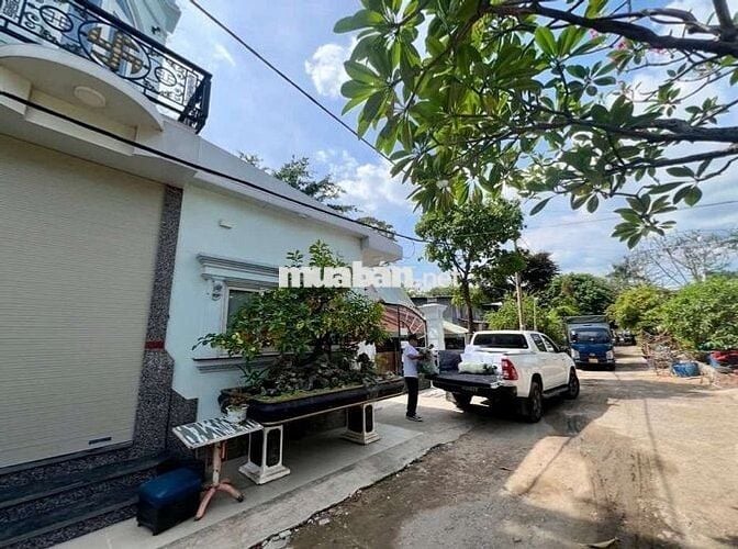 ĐẤT MẶT TIỀN PHƯỜNG 8 - GÒ VẤP - HẺM 6M - KHU VỰC CAO TẦNG XÂY 6 TẦNG