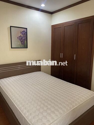 chung cư hoàng anh thanh bình khu Himlam Q.7 có 2PN full NT 11tr