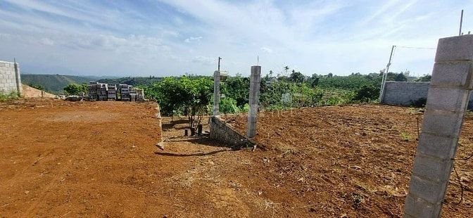Bán đất vườn sầu riêng trung tâm TT Di Linh