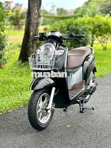 ✅✅Scoopy Zin Nguyên Bản.Siêu Keng. Ngay Chủ