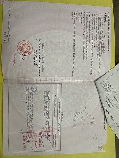 Bán đất vườn sầu riêng trung tâm TT Di Linh