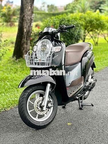 ✅✅Scoopy Zin Nguyên Bản.Siêu Keng. Ngay Chủ