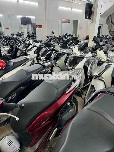 SH Việt Nam số lượng lớn- Giá chỉ hơn 30 triệu