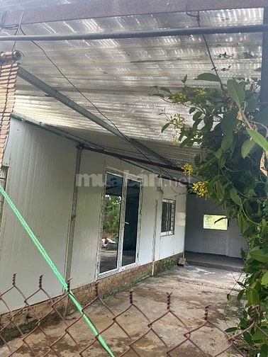 Bán nhà vườn trung tâm Hà Nội 