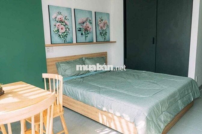 Cho thuê căn hộ Studio ngay trung tâm thành phố
