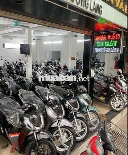 SH Việt Nam số lượng lớn- Giá chỉ hơn 30 triệu