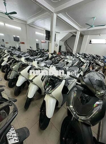 SH Việt Nam số lượng lớn- Giá chỉ hơn 30 triệu