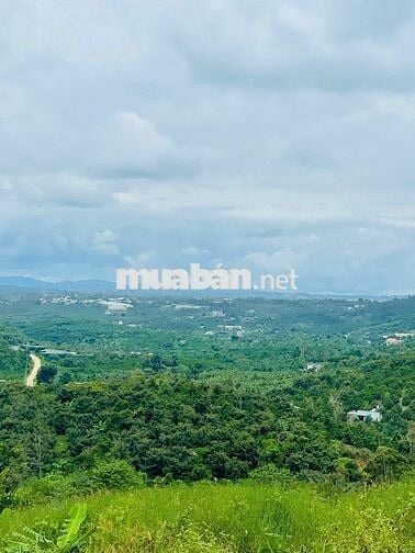Bán lô đất 140m² full thổ cư tại Top Garden Hill 9B – View đẹp!