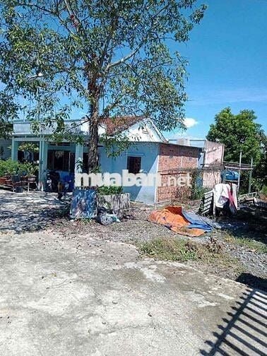 Đất 1500m2 (760m2 đất thổ, 740m2 đất lúa) chính chủ tại Long An