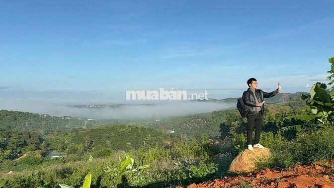 Bán lô đất 140m² full thổ cư tại Top Garden Hill 9B – View đẹp!