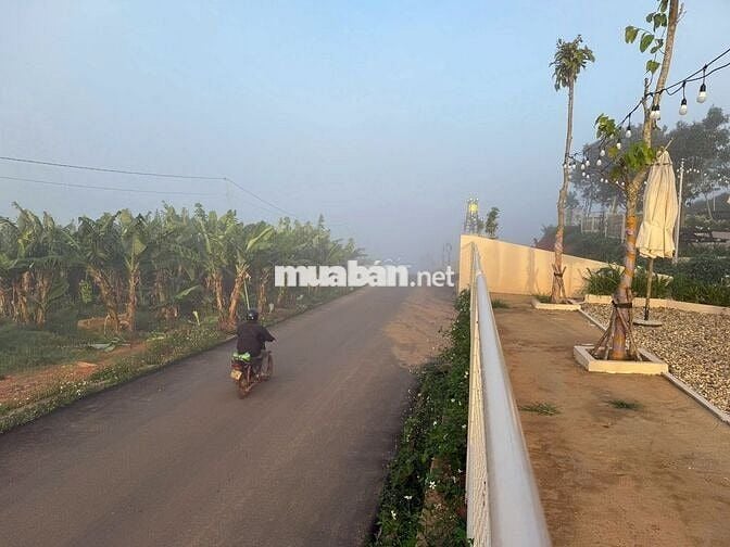 Bán lô đất 140m² full thổ cư tại Top Garden Hill 9B – View đẹp!