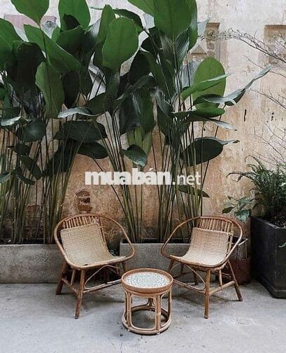 Chính chủ cho thuê nguyên căn nhà đẹp Điện Biên Phủ quận 3 giá 28tr