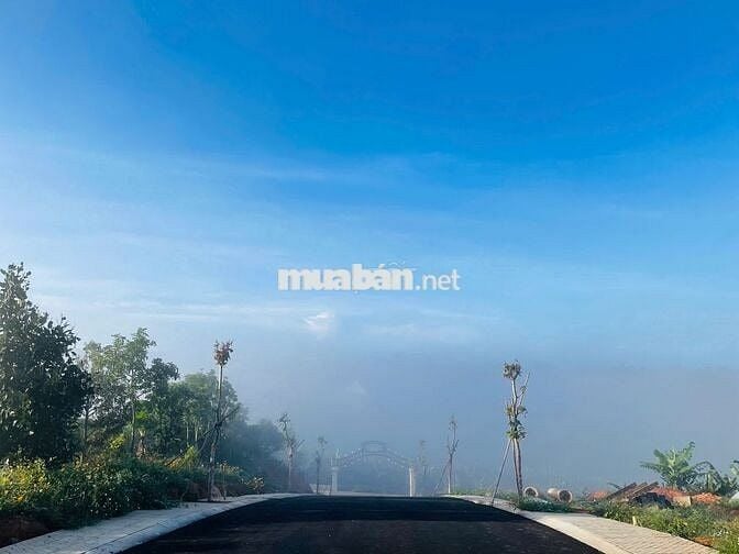 Bán lô đất 140m² full thổ cư tại Top Garden Hill 9B – View đẹp!