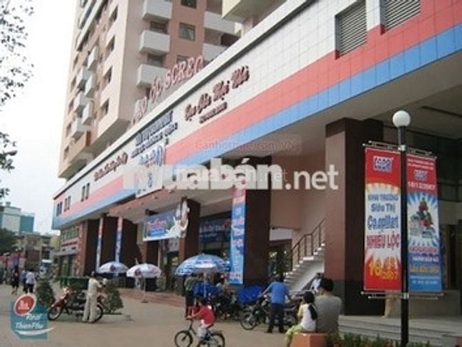 Cho thuê căn hộ 1pn chung cư Screc