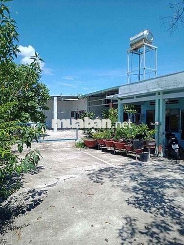 Đất 1500m2 (760m2 đất thổ, 740m2 đất lúa) chính chủ tại Long An