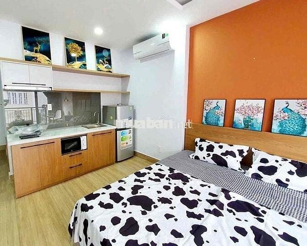 Căn Hộ Stdio Ban Công Đẹp Y Hình Đúng Giá k ảo Q1