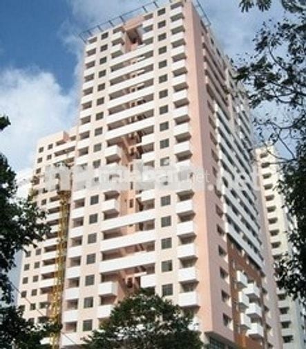 Cho thuê căn hộ 1pn chung cư Screc