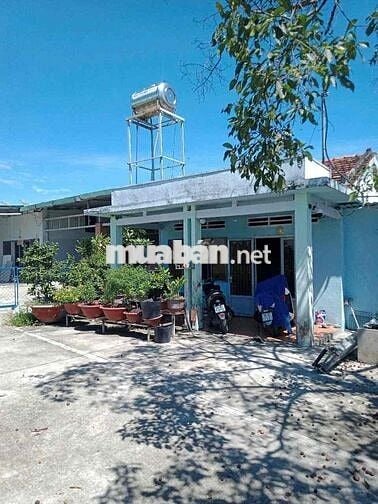 Đất 1500m2 (760m2 đất thổ, 740m2 đất lúa) chính chủ tại Long An