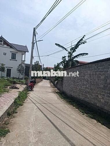 💥 TRỤC CHÍNH KINH DOANH 👉 HỒNG VÂN - THƯỜNG TÍN - HÀ NỘI 
** Diện tí
