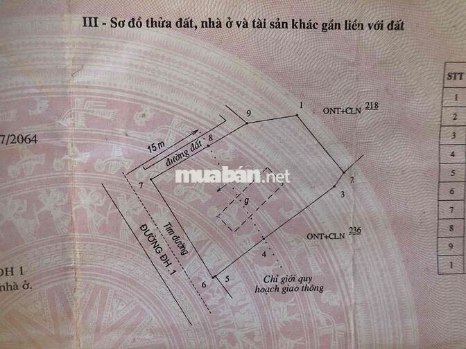 Đất Mặt Tiền Đường DH1 - Bình Giang