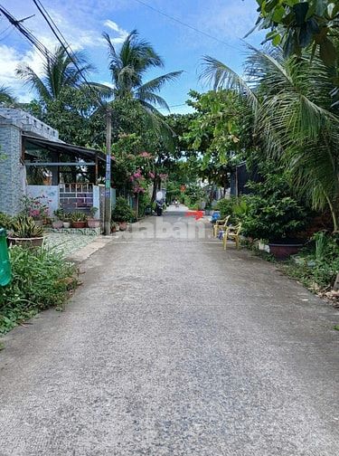 Bán 04 nền đất 5x20m ( ONT ) Đường An Hạ, Lê Minh Xuân, Bình Chánh