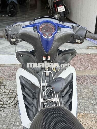 ex 135 bstp giấy tờ họp lệ
