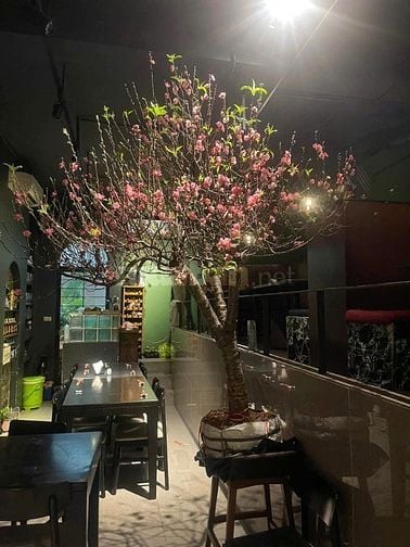 Tuyển gấp nhân viên phục vụ Nam, Nữ
