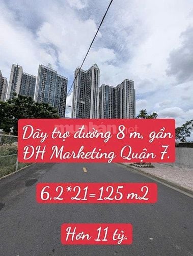 Dãy trọ đường 8 m gàn trường ĐH Marketing Quận 7. 6,2*21 hơn 11 tỷ.