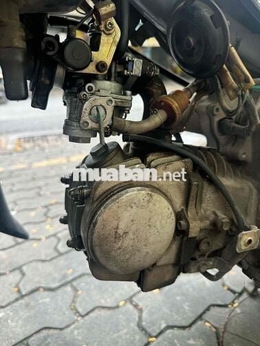 anpha 2003 bstp 9 chủ