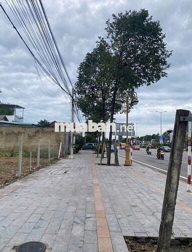 CHỦ KẸT TIỀN BÁN ĐẤT ĐẦU TƯ, CHO THUÊ ĐƯỜNG PHẠM NGỌC THẠCH THỦ DẦU 1