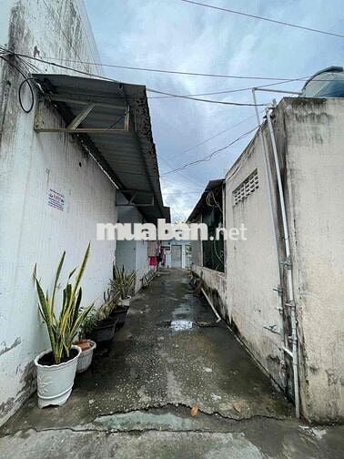 ❌❌Mặt tiền Nguyễn Văn Tạo P4 Tân An: 📐📐DT: 2,6x60m nở hậu 22m - 846m2