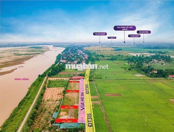 Bán đất đấu giá trục chính tỉnh 315 Tam Nông, Phú Thọ kinh doanh tốt.