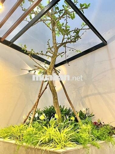 CĂN STUDIO GẦN BIỂN TÂN TRÀ KHU NGŨ HÀNH SƠN