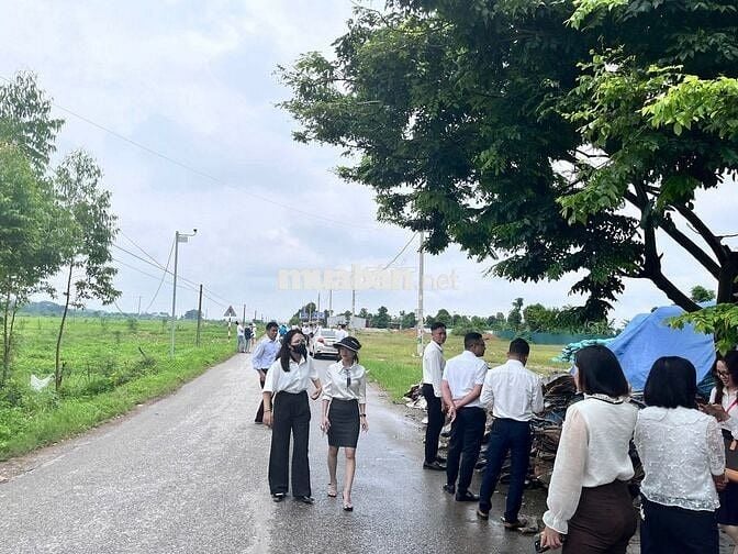 Bán đất đấu giá trục chính tỉnh 315 Tam Nông, Phú Thọ kinh doanh tốt.